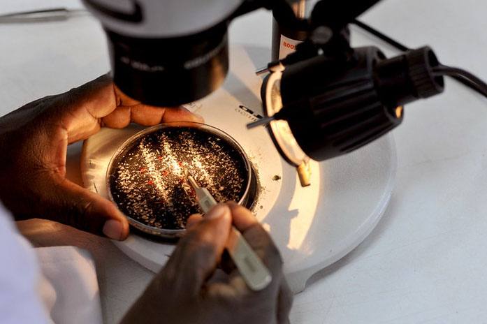 Scientist making research under a microscope